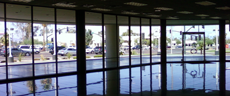 Commercial Window Cleaning Specialists